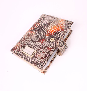 YG-080 Обложка на автодокументы с паспортом Nina Farmina 9320-124 