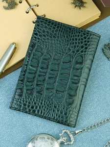 Обложка на паспорт с визитницей A-0080