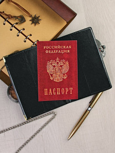 YW-20 Обложка на паспорт загран