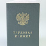 YG Трудовая книжка G-007